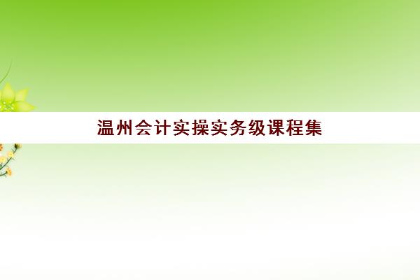 温州会计实操实务级课程集训营哪个比较好？2025年最新机构对比、课程特色与选择指南全解析