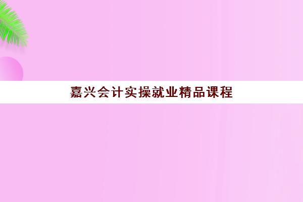 嘉兴会计实操就业精品课程辅导机构有哪些学校好？2025年最新权威排名、各校特色解析与科学择校全指南