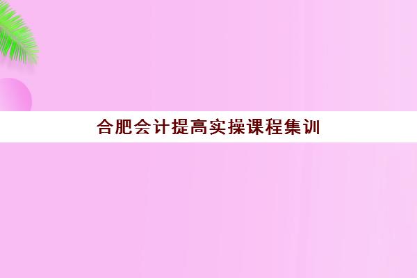 合肥会计提高实操课程集训营排名榜单公布如何科学查询？2023年最新权威数据解读、择校策略与避坑指南