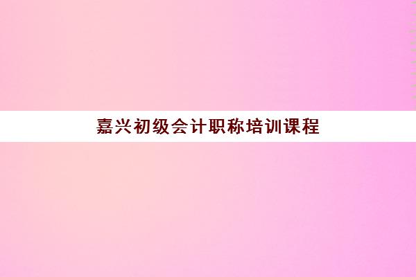嘉兴初级会计职称培训课程垂直领域TOP10有哪些？2025年十大顶尖机构综合评测、课程特色与择校全攻略