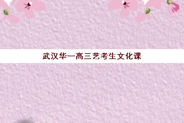 武汉华一高三艺考生文化课培训机构学费价格表如何查询？2025年收费标准全面解析与择校实用全指南