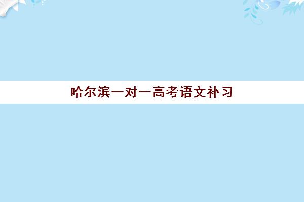 哈尔滨一对一高考语文补习2025年考点在哪？最新查询方法、备考指南与冲刺策略全解析