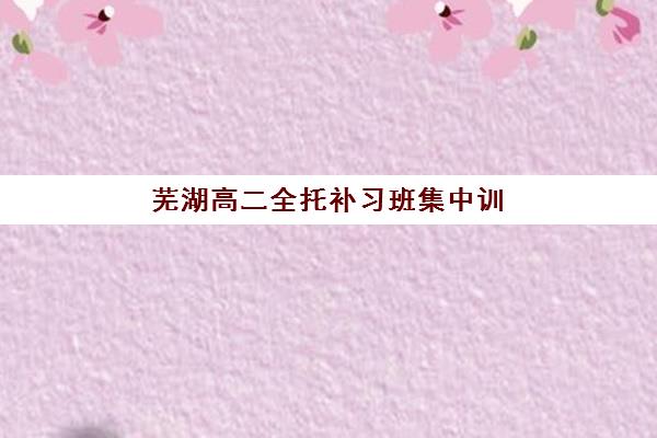 芜湖高二全托补习班集中训练营有哪些机构？2025年权威机构盘点与选择全攻略