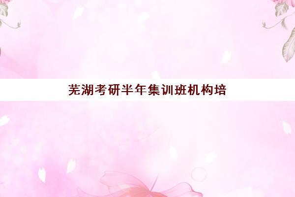 芜湖考研半年集训班机构培训机构哪个更好一点？2025年最新排名、择校指南与成功案例深度解析
