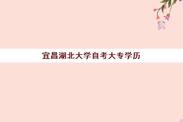 宜昌湖北大学自考大专学历课程集训营哪家口碑好一点？2025年封闭式培训机构评测与选择指南