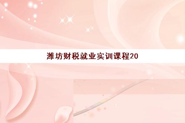 潍坊财税就业实训课程2025年考点有哪些？最新考纲解读、重点梳理与备考全攻略