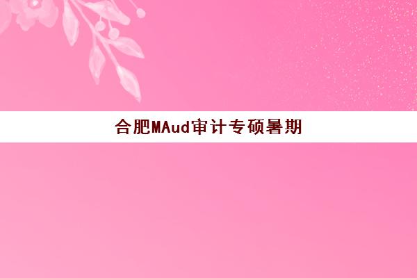 合肥MAud审计专硕暑期集训课程如何选择？2025年机构发展指数TOP5排名与择校全指南