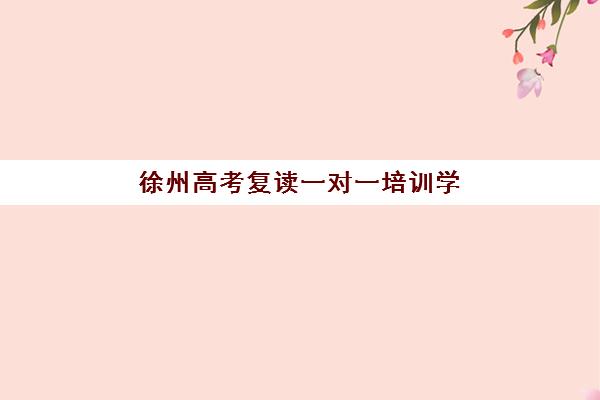 徐州高考复读一对一培训学校排名前十名有哪些?2025年最新实力榜单、择校指南与成功案例深度解析 徐州高考复读一对一培训学校排名前十名有哪些?2025年最新实力榜单、择校指南与成功案例深度解析