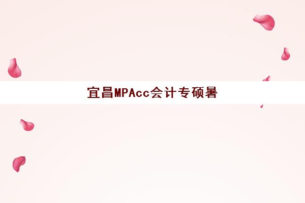 宜昌MPAcc会计专硕暑期集训课程培训机构有哪些地方好？师资、课程、费用全对比与择校指南