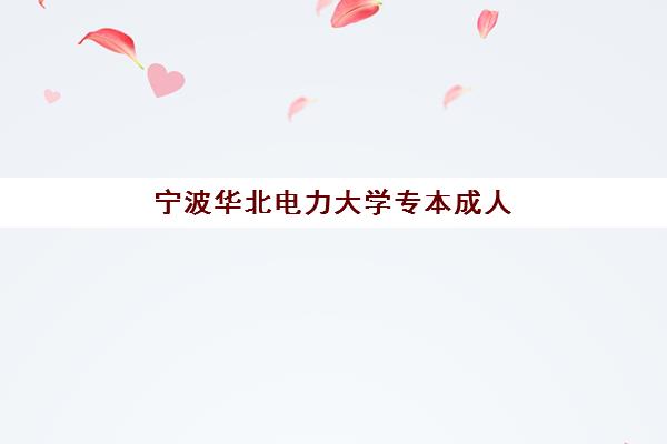 宁波华北电力大学专本成人高考课程集训营怎么选，权威课程安排与报名条件全解析