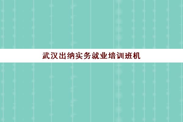 武汉出纳实务就业培训班机构用户满意度速递，2025年学员真实评价与择校指南