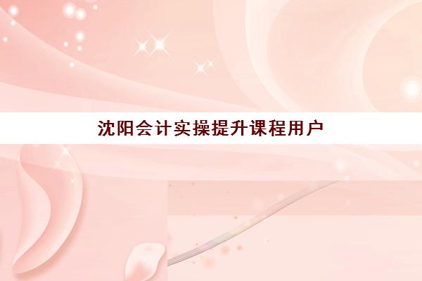 沈阳会计实操提升课程用户满意度标杆机构有哪些？2025年顶尖机构深度评测与选择全攻略