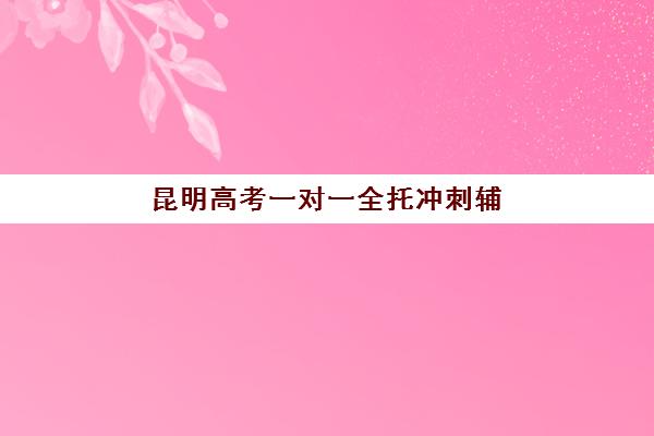 昆明高考一对一全托冲刺辅导机构如何选？2025年排名前十实力对比与择校指南