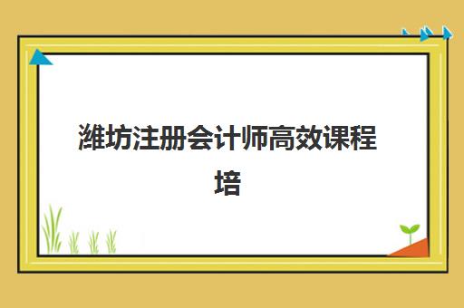 潍坊注册会计师高效课程培训机构有哪些学校好？2025年最新排名详情、择校标准与成功案例全解析