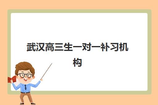 武汉高三生一对一补习机构辅导培训机构哪家好一点？2025年最新排名、择校指南与成功案例深度解析