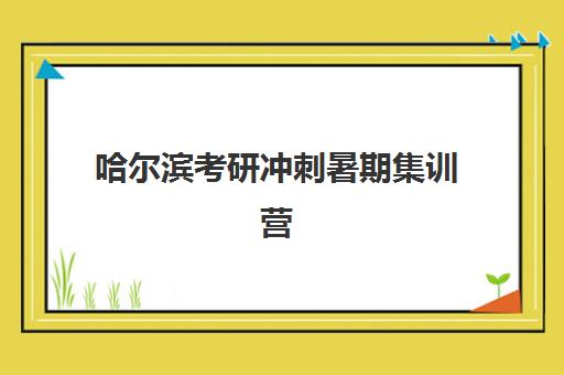 哈尔滨考研冲刺暑期集训营用户推荐度TOP3如何选择？2025年真实口碑与择校全指南