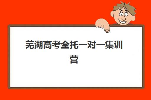 芜湖高考全托一对一集训营排名前十的学校有哪些？2025年最新择校指南与机构实力解析