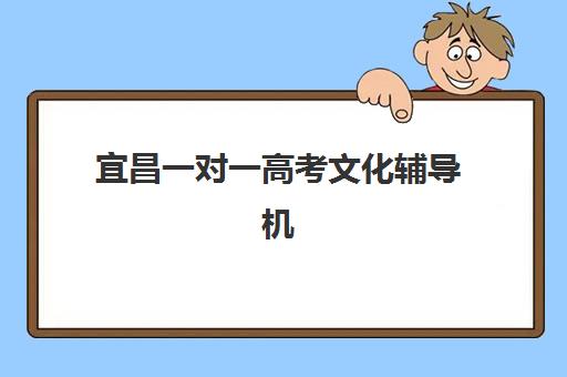 宜昌一对一高考文化辅导机构如何选择？2025年权威排名、性价比分析与择校全攻略