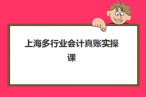 上海多行业会计真账实操课程报名确认时间表在哪看？2025年最新官方查询渠道与实操指南全解析