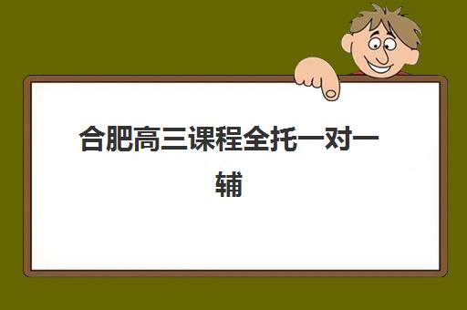 合肥高三课程全托一对一辅导机构那家比较好？2025年择校指南与五大机构深度剖析