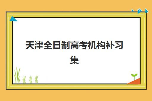 天津全日制高考机构补习集训营哪家口碑好一点？2025年排名前十机构深度测评与科学择校全指南