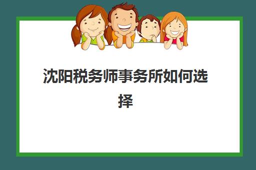 沈阳税务师事务所如何选择？公办与民办服务机构全方位对比指南