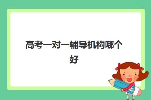 徐州新锐会计精品定制课程预报名考点有哪些地方？2025年考点分布全解析与报名指南