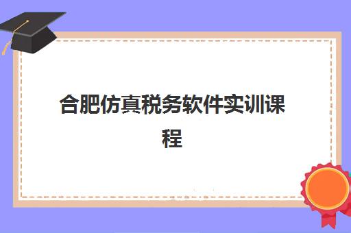 合肥仿真税务软件实训课程封闭学校排名一览表如何查询？2025年最新权威榜单、择校指南与课程全解析