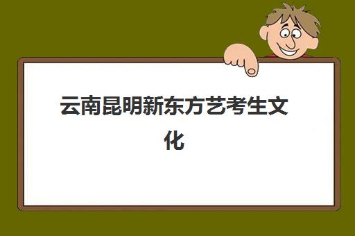 昆明考研专业课面试培训机构哪家好？2025年最新排名、费用对比与择校全攻略