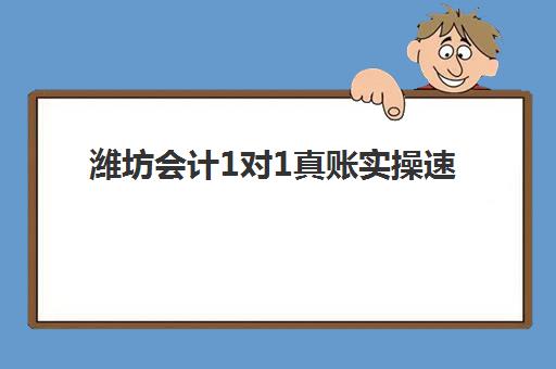 潍坊会计1对1真账实操速成系列课程辅导机构排名前三名如何选择？2025年最新实力对比与报读指南