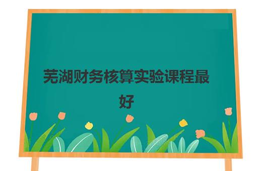 芜湖财务核算实验课程最好的培训机构排名，如何选择及前十机构对比全攻略