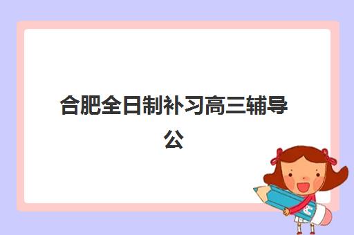 合肥全日制补习高三辅导公办vs民办服务对比？2025年核心差异、选择标准及实操指南全解析