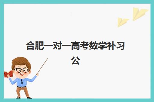 合肥一对一高考数学补习公办vs民办服务对比如何选择？2025年最新评测、优劣势分析与择校指南