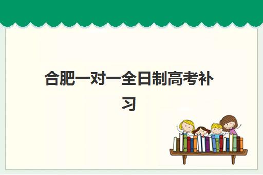 合肥一对一全日制高考补习预报名如何准备？2026年班型选择与考点解析全攻略